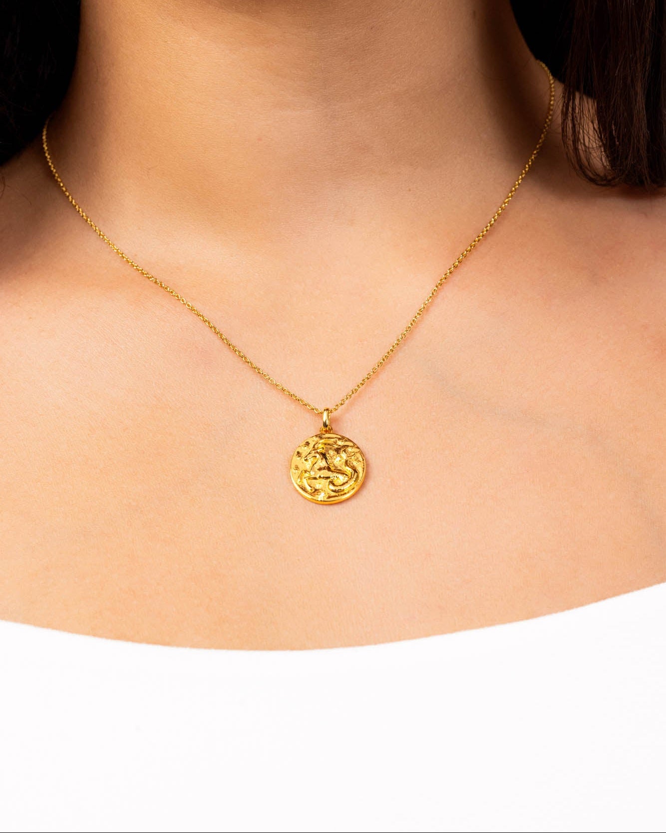 Capricorn Zodiac Necklace